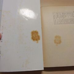 『花のない季節』石川達三　中公文庫の画像