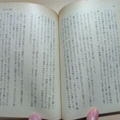 『花のない季節』石川達三　中公文庫の画像