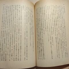 『花の浮草』石川達三　文春文庫の画像