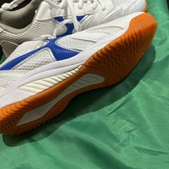 体育館シューズの画像