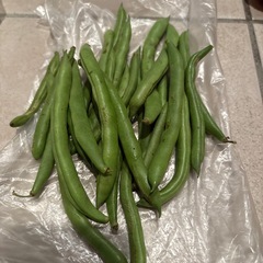 柿、野菜の画像