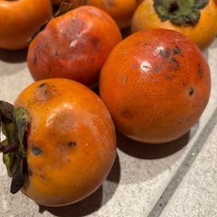 柿、野菜の画像