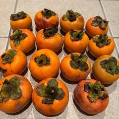 柿、野菜の画像