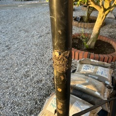 バスケットゴールの画像