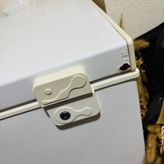 冷凍庫　2021年の画像