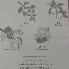 【新品未使用】箱入り木製箸 4本セットの画像