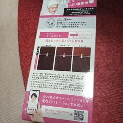 リーゼ泡カラ―の画像