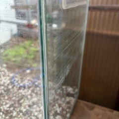 ガラス　
水槽 の画像