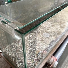 ガラス　
水槽 の画像