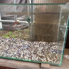 ガラス　
水槽 の画像