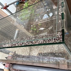 ガラス　
水槽 の画像