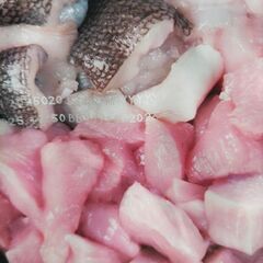 未開封　アカナ　ドックフード　の画像