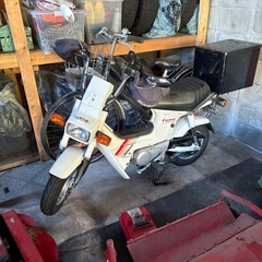 ホンダ　シャリーの画像