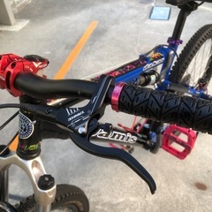 JAMISダカール フルサスカスタムの画像