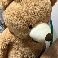 でっかいくまさん❤️大きなクマさん❤️の画像