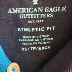 American Eagle Outfitters ポロシャツXSの画像