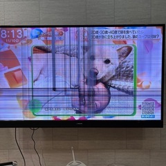 Maxzen 55インチ 大型テレビの画像