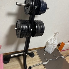 ベンチプレス　ダンベルの画像