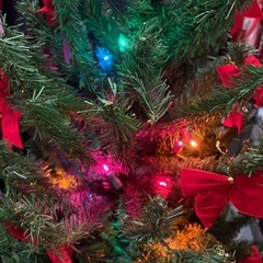 クリスマスツリーの画像