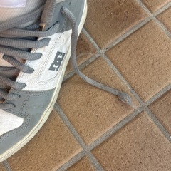 ＤＣ　スニーカー　26.5cmcmの画像