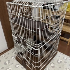 猫　キャット　ケージ　ブラウン　2段　の画像