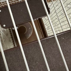 猫　キャット　ケージ　ブラウン　2段　の画像