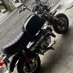 ゴリラ　z 50J 12vエンジン　即ノリ車の画像