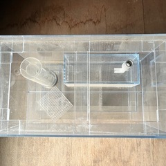 Zicla 45cmオーバーフロー水槽の画像