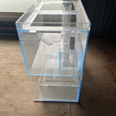 Zicla 45cmオーバーフロー水槽の画像