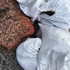 植木鉢　プランターの土　無料の画像