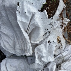 植木鉢　プランターの土　無料の画像