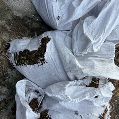 植木鉢　プランターの土　無料の画像