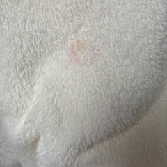 【お話中】汎用うさぎ 上下セットの画像