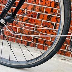 ジャイアントエスケープジュニア24の画像