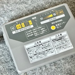 アイリスオーヤマ 2畳相当ホットカーペット 専用ラグ付きの画像