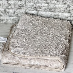 アイリスオーヤマ 2畳相当ホットカーペット 専用ラグ付きの画像