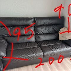 養生必須　ソファーの画像