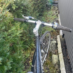 自転車26インチの画像
