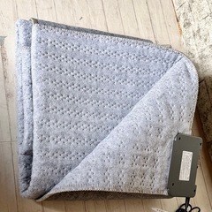 2025年製 KODEN 2畳相当ホットカーペット VWU201UHの画像