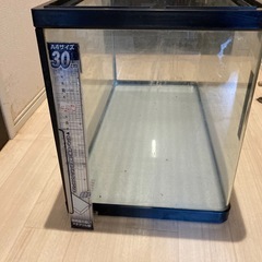 観賞魚用水槽の画像