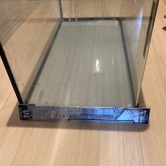 観賞魚用水槽の画像