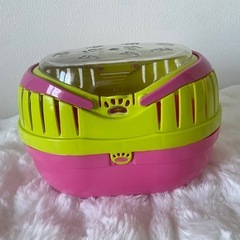 ハリネズミ　小動物　　カゴの画像