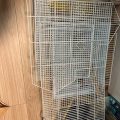 バードゲージの画像