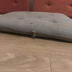 IKEA イスカバーの画像