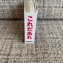ミニしかけ絵本　これだあれの画像