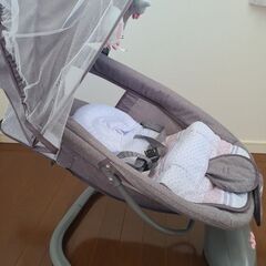 ベビーバウンサーの画像
