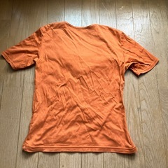 オレンジカットソーの画像