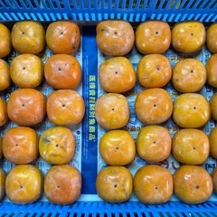 さわし柿 3kgの画像