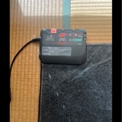 ホットカーペットの画像