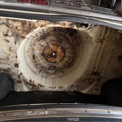 グロリア の画像